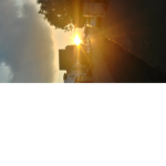 Sunnys are Beautiful