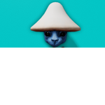 BlueCat Gamers