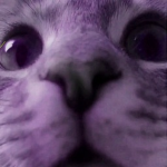 Epic_ugc