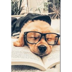 HEY DOG FANSSS!!