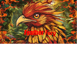 Feather Fury