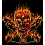 XFlaming SkullsX