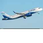 "Indigo Airlines"