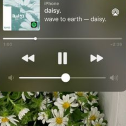 ⋆.°🦋༘⋆