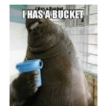 Ya zook