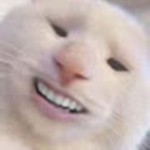 Pan_Co_Roblox