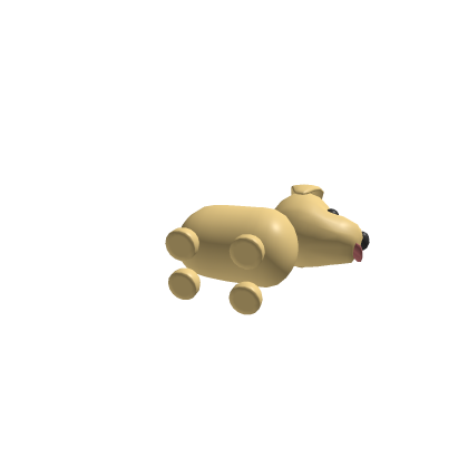 Dead dog