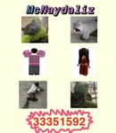 18 ; McNaydaliz