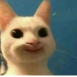 큐블록스 재단