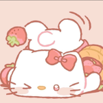 * ~ sanrio wardrobe ~ *