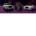 Trap Family Inc