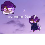 Lavender Gang!