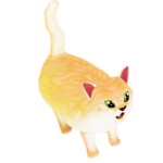 funni cat