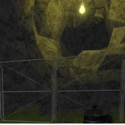 the caves