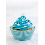 Cupcakes shirt