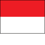 ROBLOX INDONESIA PLAYER TEAM