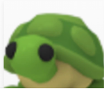 Killer turtle