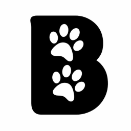 B 🐾