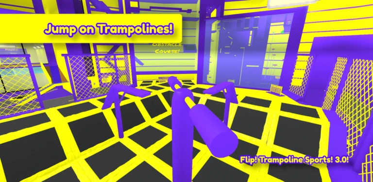 Trampoline Park! Flip! 3.0!