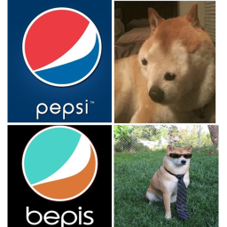 The Shiba Team Hangout!