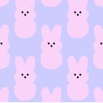 -lexis closet xo-
