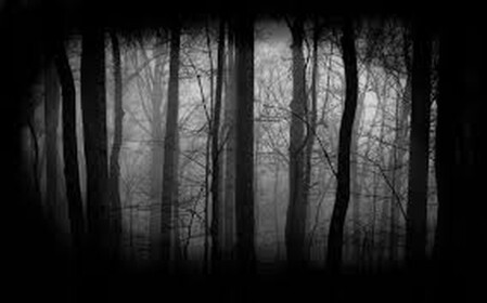 The Forest