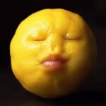 Jump Into Niche Fruit Lemon