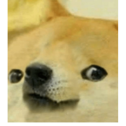 no tonic no probs gam