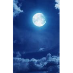 Moon Studiosss