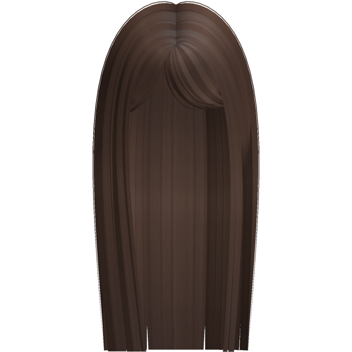 Sleek Popular Long Straight Hair (Brown)