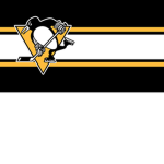 Pittsburgh Penguins (fans)