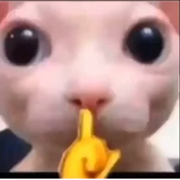 just a normal game icon