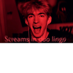 F_l_a_m_i_n_g_o