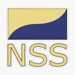 NSS 安全