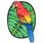 TheParrotSqaud