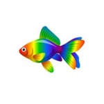 Rainbow Goldfish Studios