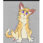 •| Warrior Cats Private Server Role plays! |•