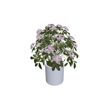 Flower Pot