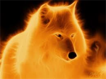 Wolf Clan of Burning Ice