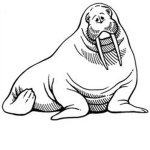 Walrus Supporters
