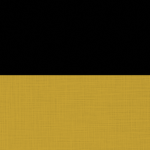 Kaiserthum Österreichᅠ