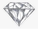 The Diamond H Squad