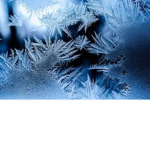 IceKingdom Studio