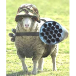 mlg sheep army