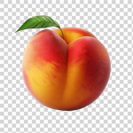 xElegxnt