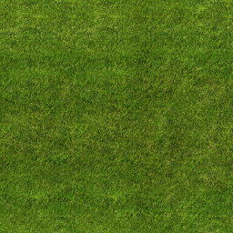 Just Grass