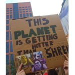 shrek epic gruop