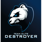 Destroyer For Team