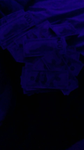 JDL's