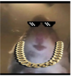 Hamster K1ngdom